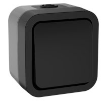 TORS Выключатель 1-клавишный двухполюсный TS111 открытой установки 10А IP55 графит (TS-V16-0-10-55-K53)