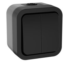 TORS Выключатель 2-клавишный TS105 открытой установки 10А IP55 графит (TS-V20-0-10-55-K53)