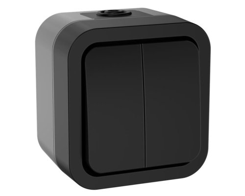 TORS Выключатель 2-клавишный TS105 открытой установки 10А IP55 графит (TS-V20-0-10-55-K53)