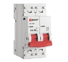 ВН-125N 2Р 100А PROXIMA (S1252100)