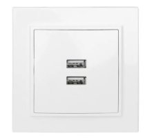 Минск Розетка USB 2-местная СП 2,1А белая (ERR-2USB-100)