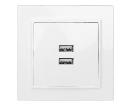 Минск Розетка USB 2-местная СП 2,1А белая (ERR-2USB-100)