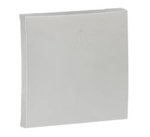 Валенсия Лицевая панель кнопки звонка 10А сталь (ESV10-L-026-30)