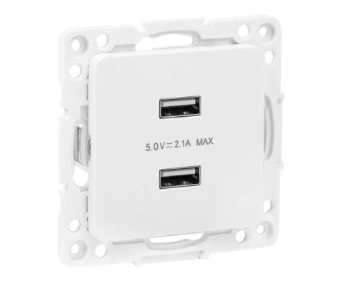 Стокгольм Механизм розетки USB 2-местной 2,1А винтовые клеммы белый (EYR16-028-10-2USB)