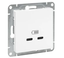 Механизм розетки USB-C - 2 шт, белый Эпика (UP1-SOW-2USBC)