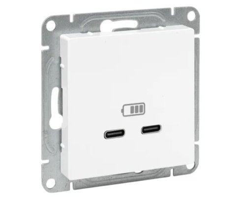 Механизм розетки USB-C - 2 шт, белый Эпика (UP1-SOW-2USBC)