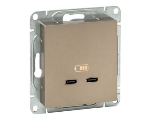 Механизм розетки USB-C - 2 шт, шампань Эпика (UP1-SOC-2USBC)