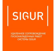 Сертификат SIGUR платной технической поддержки на 1 год (тариф PRO)