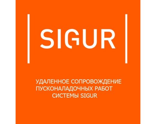 Сертификат SIGUR платной технической поддержки на 1 год (тариф PRO)