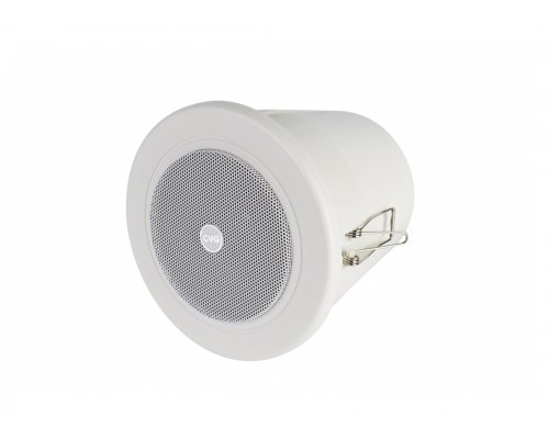 CVGaudio CRW4T