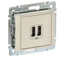 Valena DIY розетка USB A+A 15Вт, скрытой установки, слоновая кость (694372)