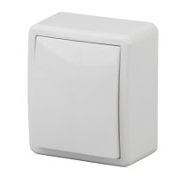 Выключатель 1-кл. ОУ Эксперт IP20 11-1201-01 250В 10АХ белый ЭРА (Б0020653)