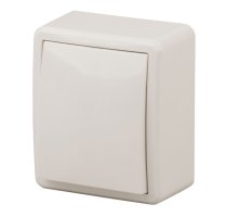 Выключатель 1-кл. ОУ Эксперт IP20 11-1201-02 250В 10АХ слоновая кость ЭРА (Б0020655)