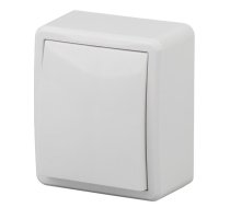 Выключатель 1-кл. ОУ Эксперт IP20 11-1202-01 250В 10АХ белый ЭРА (Б0020657)