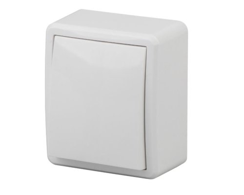 Выключатель 1-кл. ОУ Эксперт IP20 11-1202-01 250В 10АХ белый ЭРА (Б0020657)
