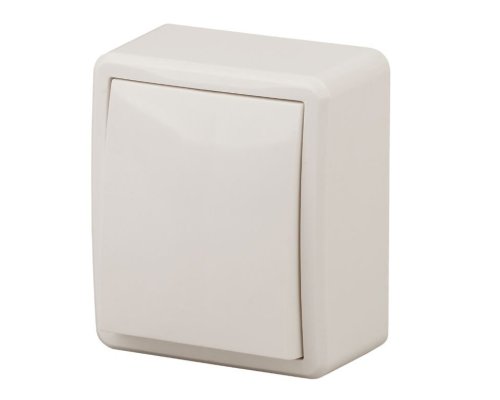 Выключатель 1-кл. ОУ Эксперт IP20 11-1202-02 250В 10АХ слоновая кость ЭРА (Б0020658)