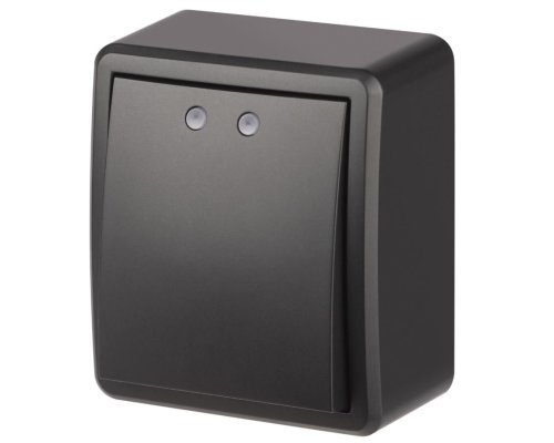 Выключатель 1-кл. ОУ Эксперт IP20 11-1202-05 250В 10АХ антрацит ЭРА (Б0063044)