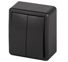 Выключатель 2-кл. ОУ Эксперт IP20 11-1204-05 250В 10АХ антрацит ЭРА (Б0063026)