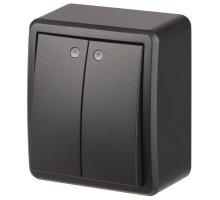 Выключатель 2-кл. ОУ Эксперт IP20 11-1205-05 250В 10АХ антрацит ЭРА (Б0063021)