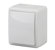 Выключатель 1-кл. ОУ Эксперт IP54 11-1401-01 250В 10АХ белый ЭРА (Б0020669)