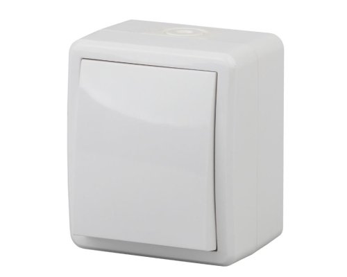 Выключатель 1-кл. ОУ Эксперт IP54 11-1401-01 250В 10АХ белый ЭРА (Б0020669)