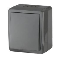 Выключатель 1-кл. ОУ Эксперт IP54 11-1401-03 250В 10АХ серый ЭРА (Б0020670)
