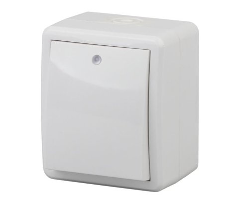 Выключатель 1-кл. ОУ Эксперт IP54 11-1402-01 250В 10АХ белый ЭРА (Б0020671)