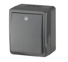 Выключатель 1-кл. ОУ Эксперт IP54 11-1402-03 250В 10АХ серый ЭРА (Б0020672)