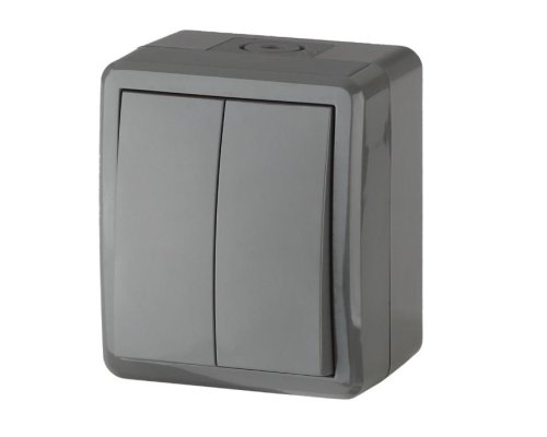 Выключатель 2-кл. ОУ Эксперт IP54 11-1404-03 250В 10АХ серый ЭРА (Б0020676)