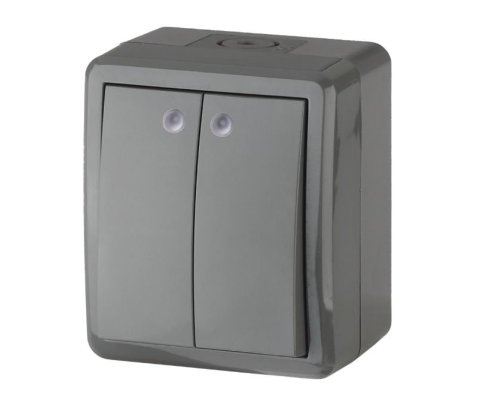 Выключатель 2-кл. ОУ Эксперт IP54 11-1405-03 250В 10АХ серый ЭРА (Б0020678)