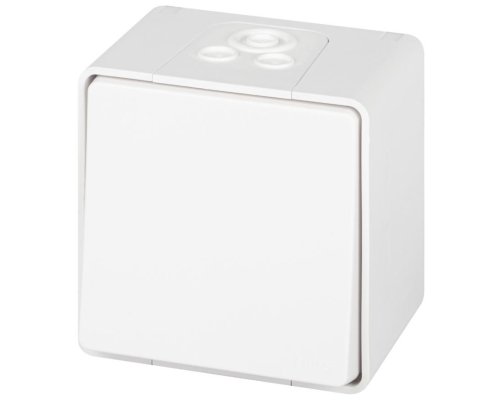 Выключатель 1-кл. ОУ Эксперт IP55 11-1501-01 250В 10АХ белый ЭРА (Б0063250)