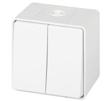 Выключатель 2-кл. ОУ Эксперт IP55 11-1504-01 250В 10АХ белый ЭРА (Б0063257)