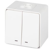 Выключатель 2-кл. ОУ Эксперт IP55 11-1505-01 250В 10АХ белый ЭРА (Б0063282)