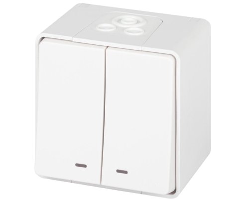 Выключатель 2-кл. ОУ Эксперт IP55 11-1505-01 250В 10АХ белый ЭРА (Б0063282)