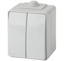 Выключатель 2-кл. ОУ Эксперт IP65 11-1604-03 250В 10АХ серый ЭРА (Б0035976)