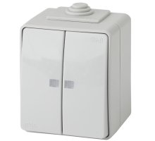 Выключатель 2-кл. ОУ Эксперт IP65 11-1605-03 250В 10АХ серый ЭРА (Б0035977)