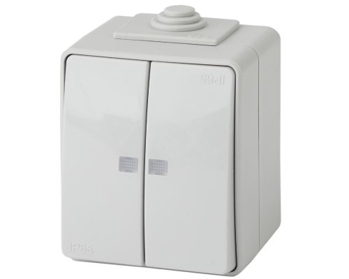 Выключатель 2-кл. ОУ Эксперт IP65 11-1605-03 250В 10АХ серый ЭРА (Б0035977)