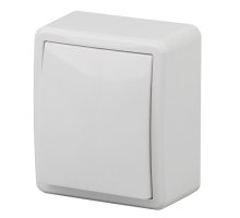 Переключатель 1-кл. ОУ Эксперт IP20 11-1203-01 250В 10АХ белый ЭРА (Б0020660)