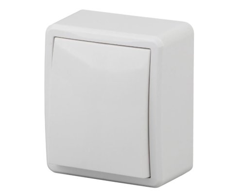Переключатель 1-кл. ОУ Эксперт IP20 11-1203-01 250В 10АХ белый ЭРА (Б0020660)