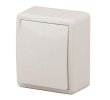 Переключатель 1-кл. ОУ Эксперт IP20 11-1203-02 250В 10АХ слоновая кость ЭРА (Б0020661)