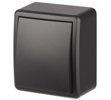 Переключатель 1-кл. ОУ Эксперт IP20 11-1203-05 250В 10АХ антрацит ЭРА (Б0063003)
