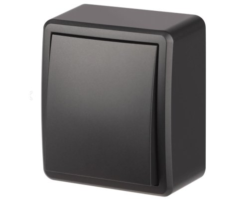 Переключатель 1-кл. ОУ Эксперт IP20 11-1203-05 250В 10АХ антрацит ЭРА (Б0063003)