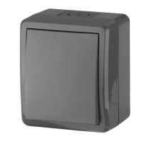 Переключатель 1-кл. ОУ Эксперт IP54 11-1403-03 250В 10АХ серый ЭРА (Б0020674)