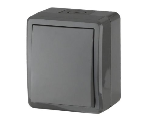 Переключатель 1-кл. ОУ Эксперт IP54 11-1403-03 250В 10АХ серый ЭРА (Б0020674)