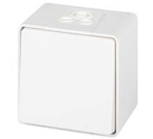 Переключатель 1-кл. ОУ Эксперт IP55 11-1503-01 250В 10АХ белый ЭРА (Б0063301)