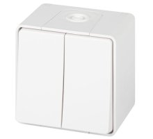 Переключатель 2-кл. ОУ Эксперт IP55 11-1506-01 250В 10АХ белый ЭРА (Б0063295)