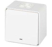 Переключатель 1-кл. ОУ Эксперт IP55 11-1507-01 250В 10АХ белый ЭРА (Б0063255)