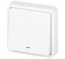 Переключатель 1-кл. СУ Эксперт IP55 11-1527-01 250В 10АХ белый ЭРА (Б0063253)