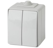 Переключатель 2-кл. ОУ Эксперт IP65 11-1606-03 250В 10АХ серый ЭРА (Б0035979)
