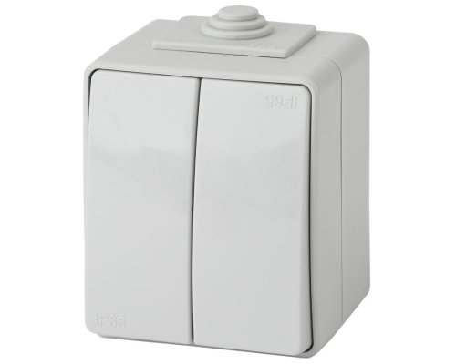 Переключатель 2-кл. ОУ Эксперт IP65 11-1606-03 250В 10АХ серый ЭРА (Б0035979)